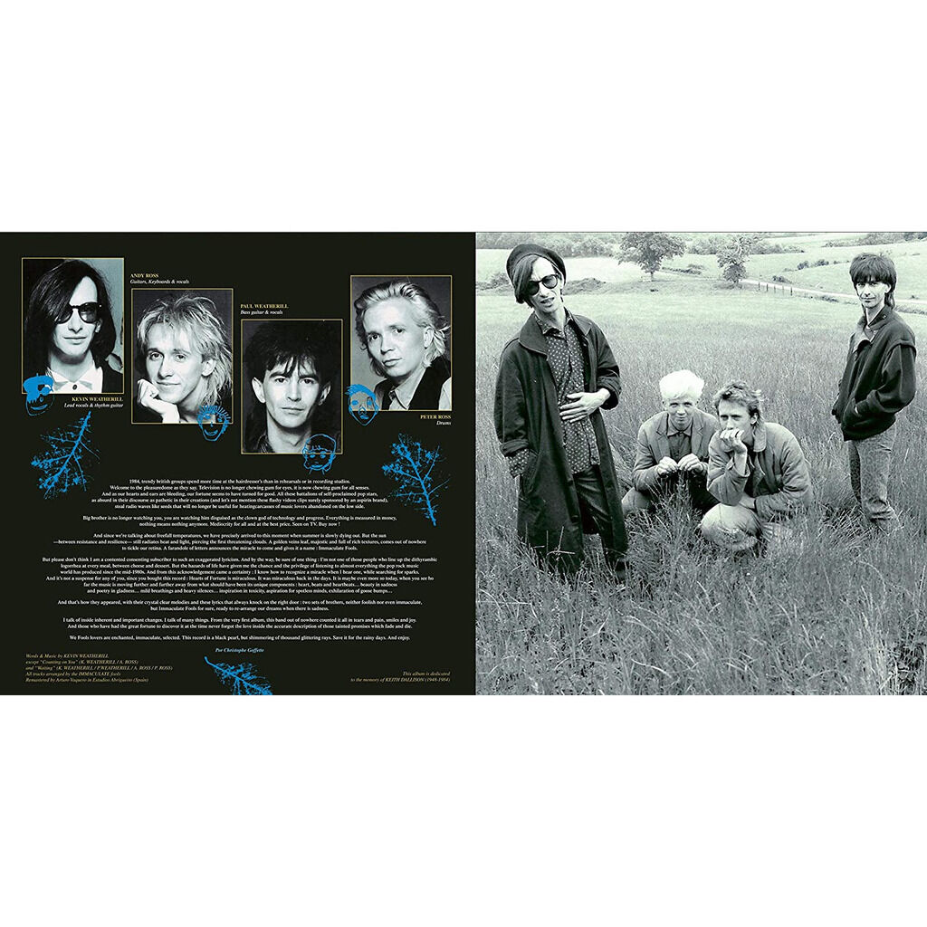  Immaculate Fools  -  hearts of fortune 