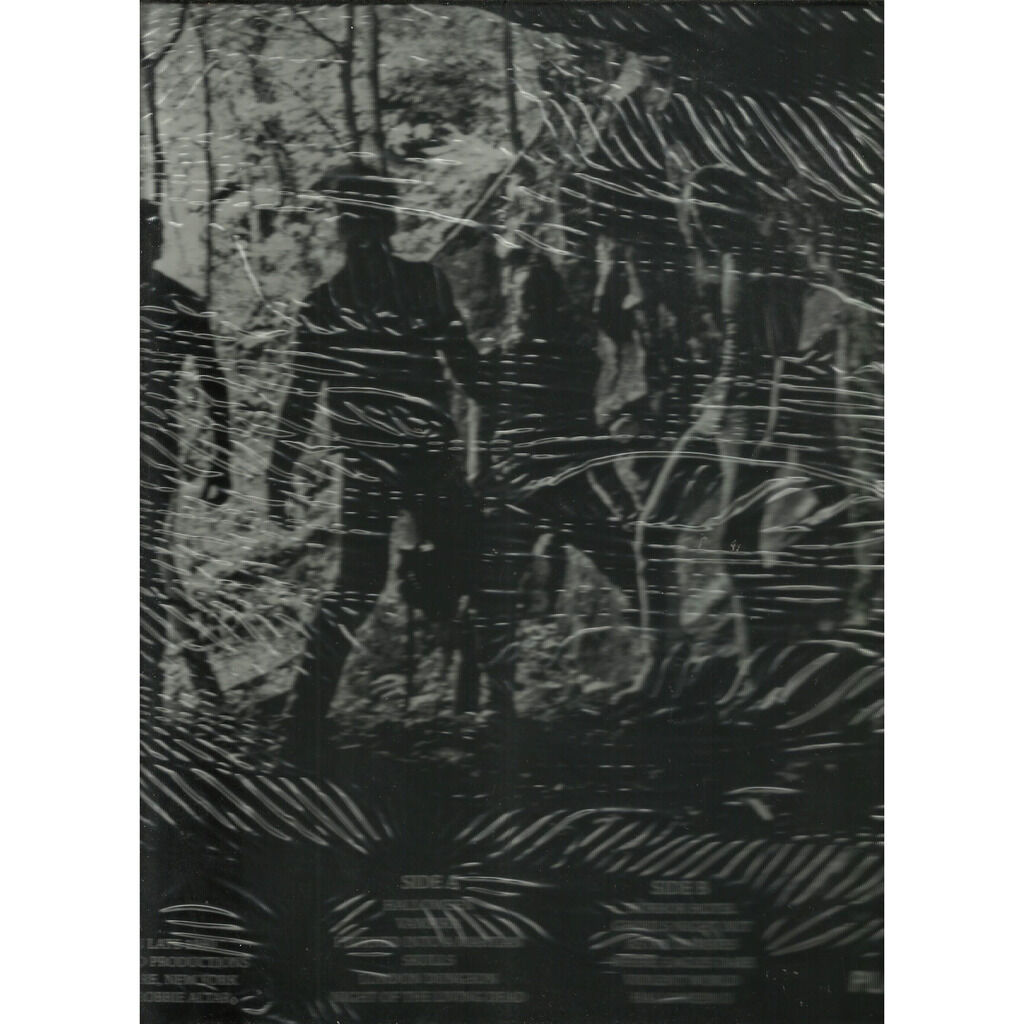  misfits  -  the 1980 msp sessions 