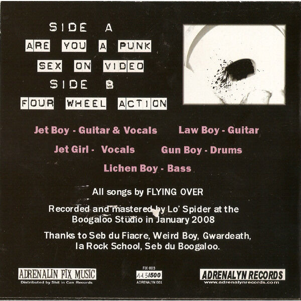  Flying Over  -  are you a punk 