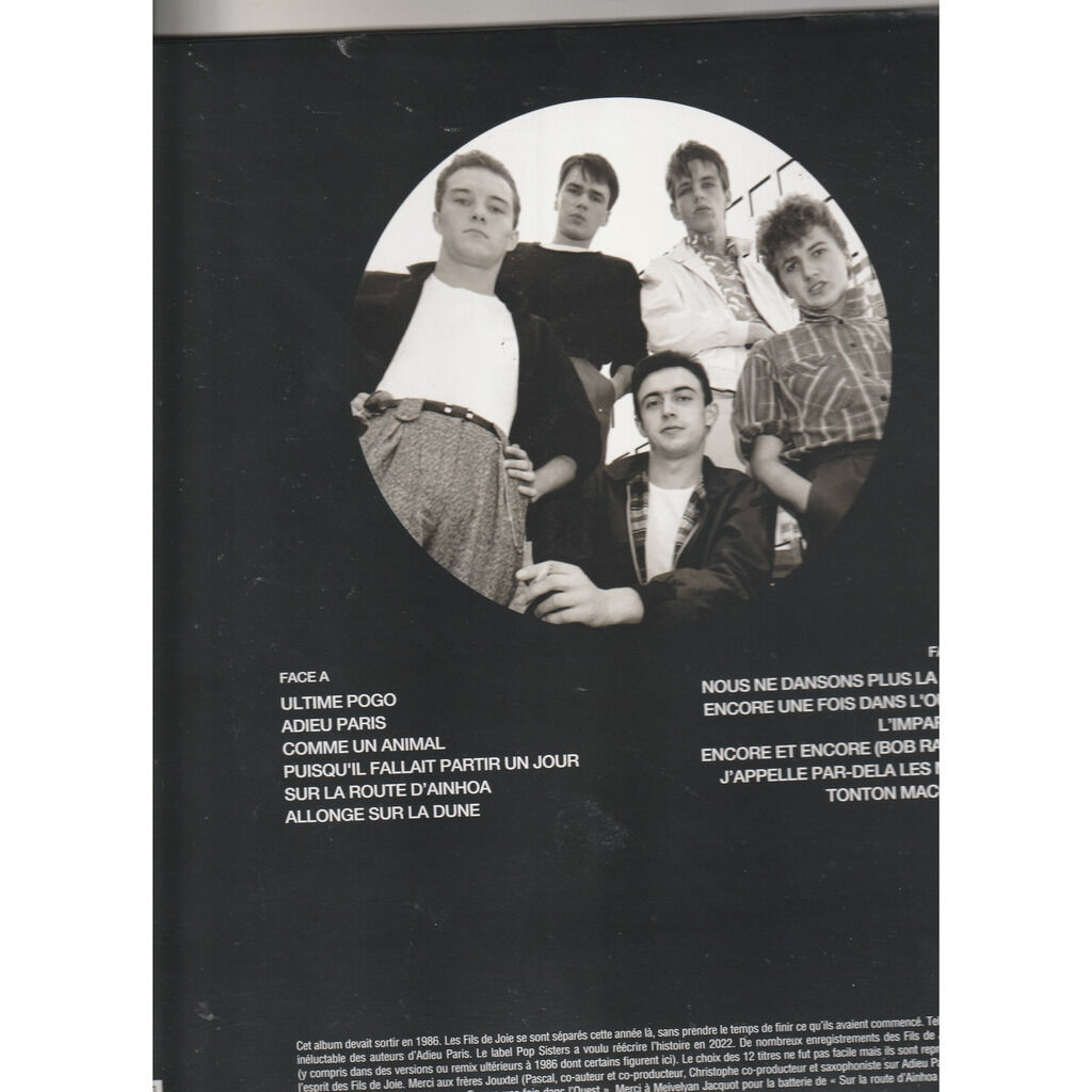  les fils de joie  -  nous ne dansons plus la nuit 