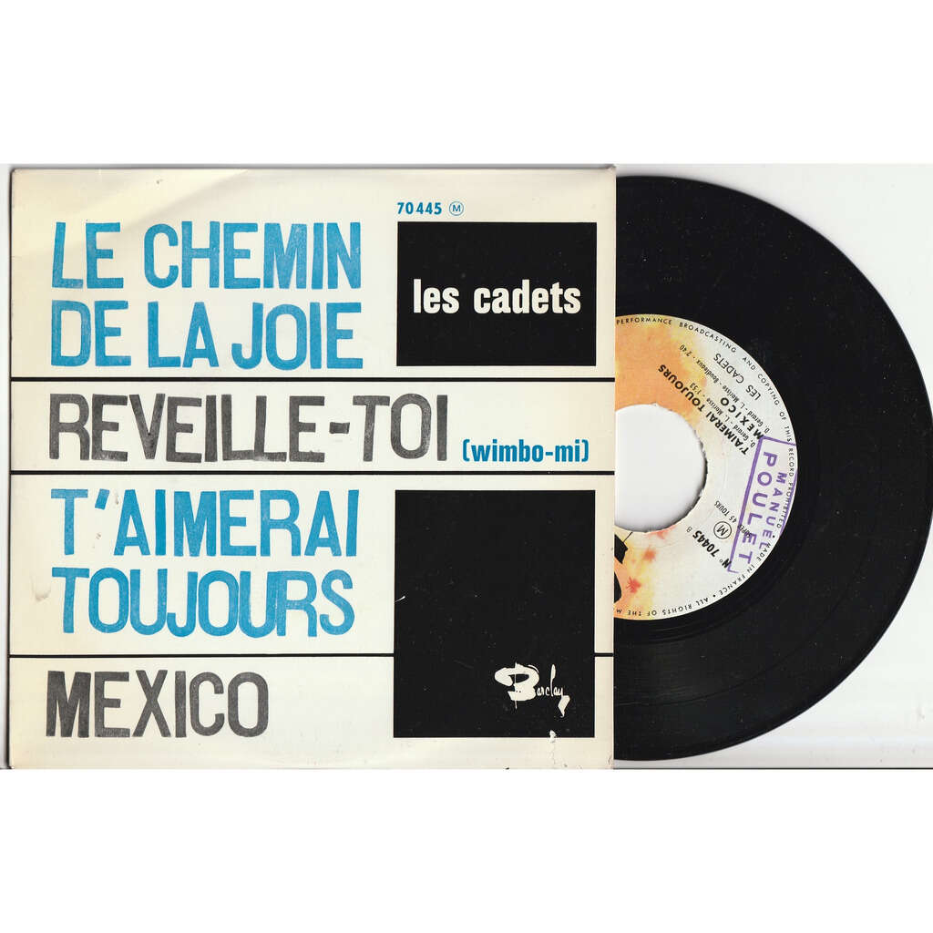  le chemin de la joie 