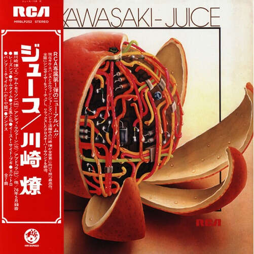  Ryo Kawasaki  -  juice 
