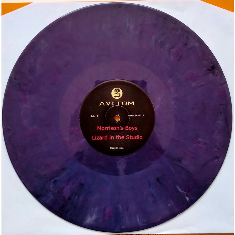  jim morrison & the doors  -  lizard in the studio ( limited editon on marbled vinyl ) 