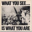 HERE AND NOW / ALTERNATIVE TV - WHAT YOU SEEIS WHAT YOU ARE - LP