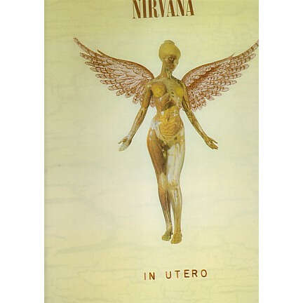  in utero 
