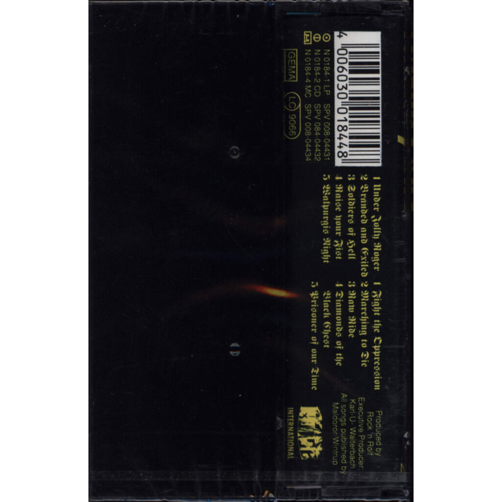  Running Wild  -  the first years of piracy 