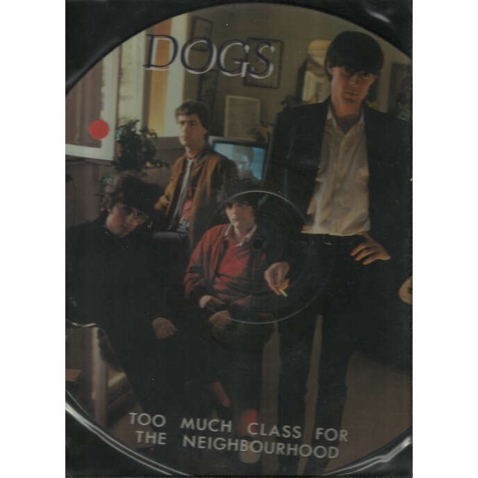  too much class for the neighbourhood picturedisc 