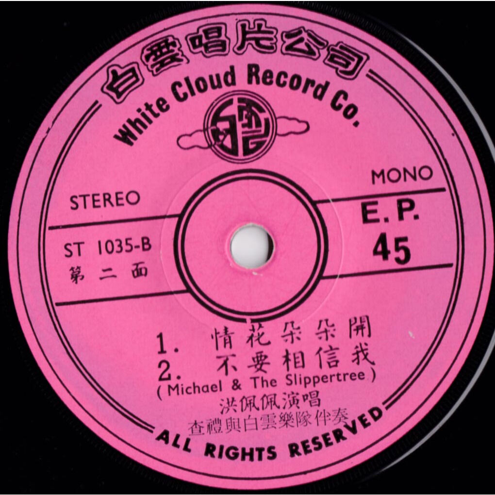  Doris Ang  -  淚的小花 