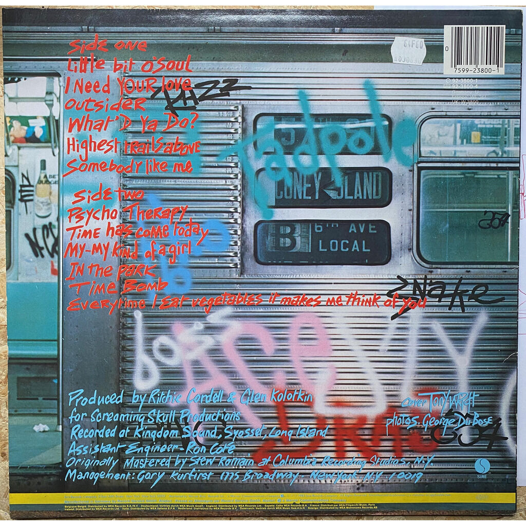  Ramones  -  subterranean jungle 