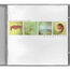 KADDISFLY - Buy Our Intention; We'll Buy You A Unicorn - Disque CD