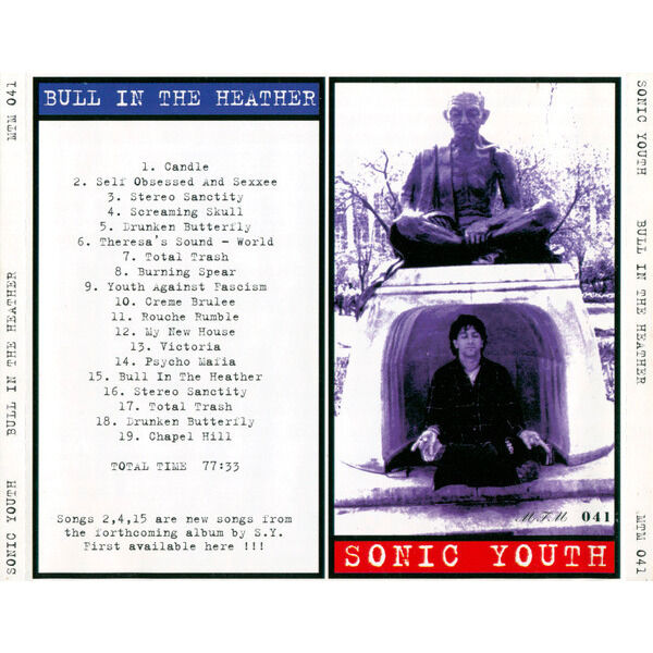  SONIC YOUTH  -  bull in the heather 
