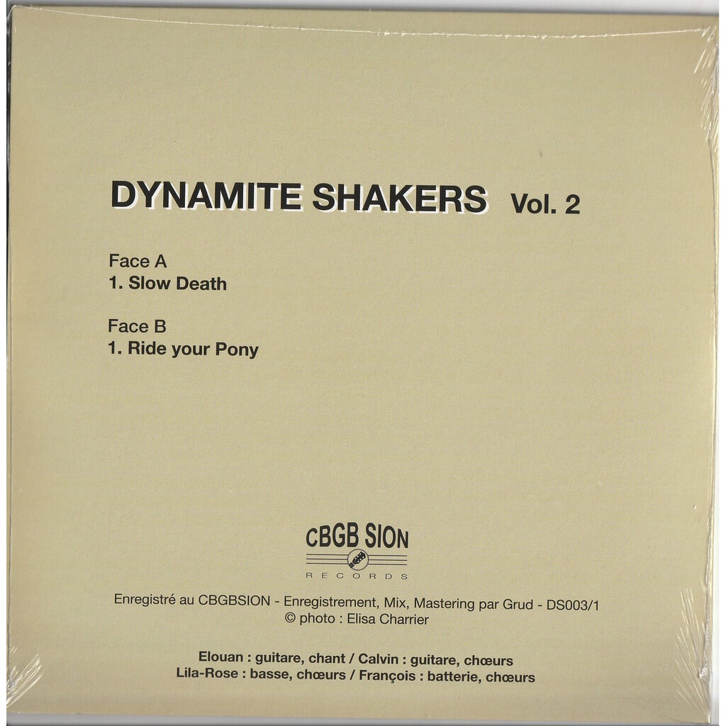  dynamite shakers flamin' groovies troggs  -  chante vol 2 