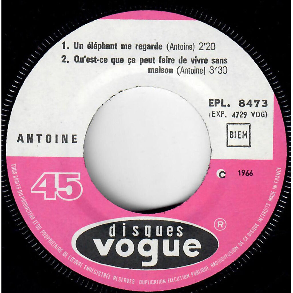  Antoine (2)  -  un éléphant me regarde 