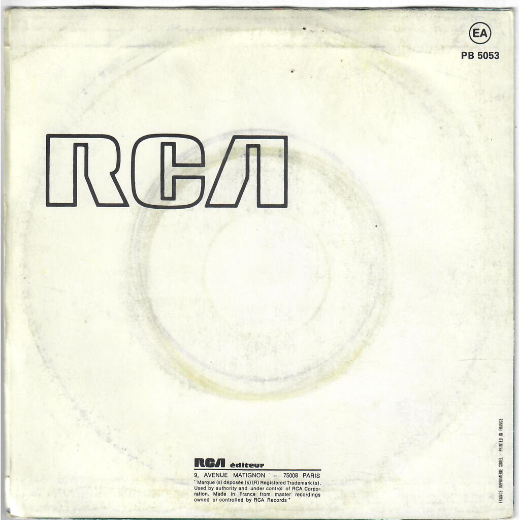  Cherry Vanilla  -  the punk 