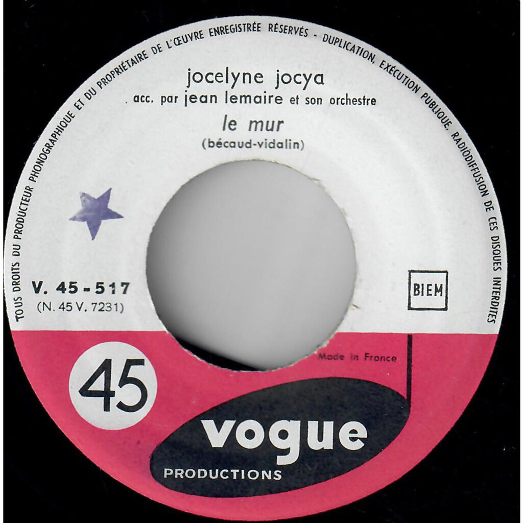  Jocelyne Jocya  -  le mur 