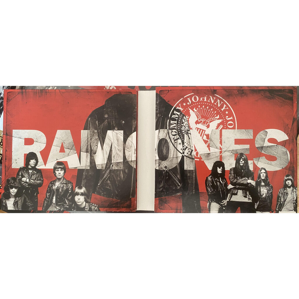 Various  -  the many faces of ramones - a journey through the inner world of ramones 