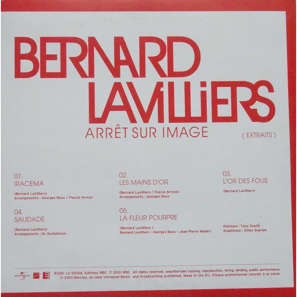  BERNARD LAVILLIERS  -  arrêt sur image 