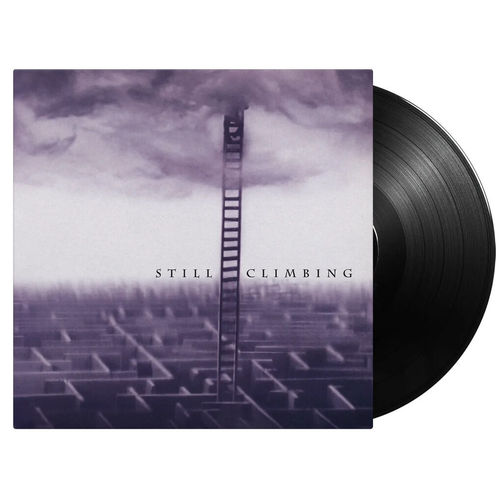  Cinderella  -  still climbing 