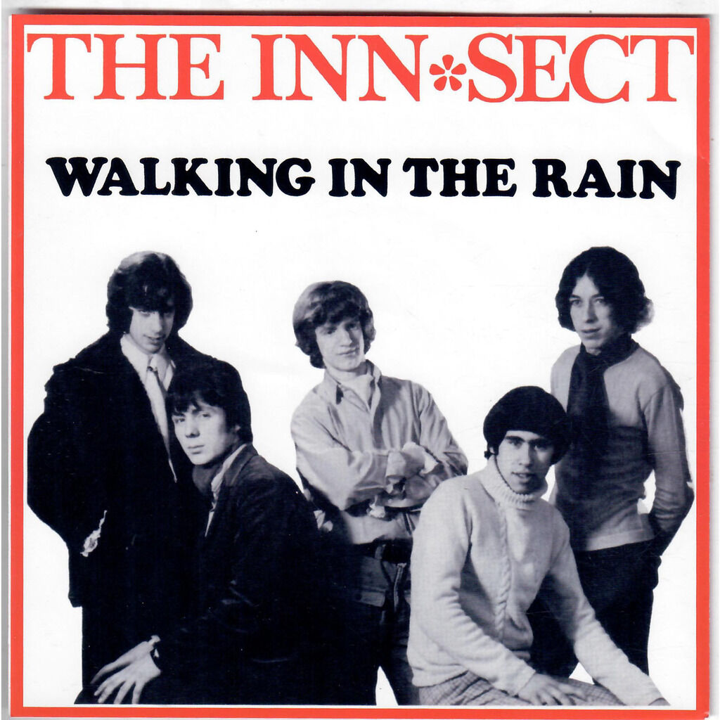  The Inn-Sect  -  let me tell you about the things i need / walking in the rain 
