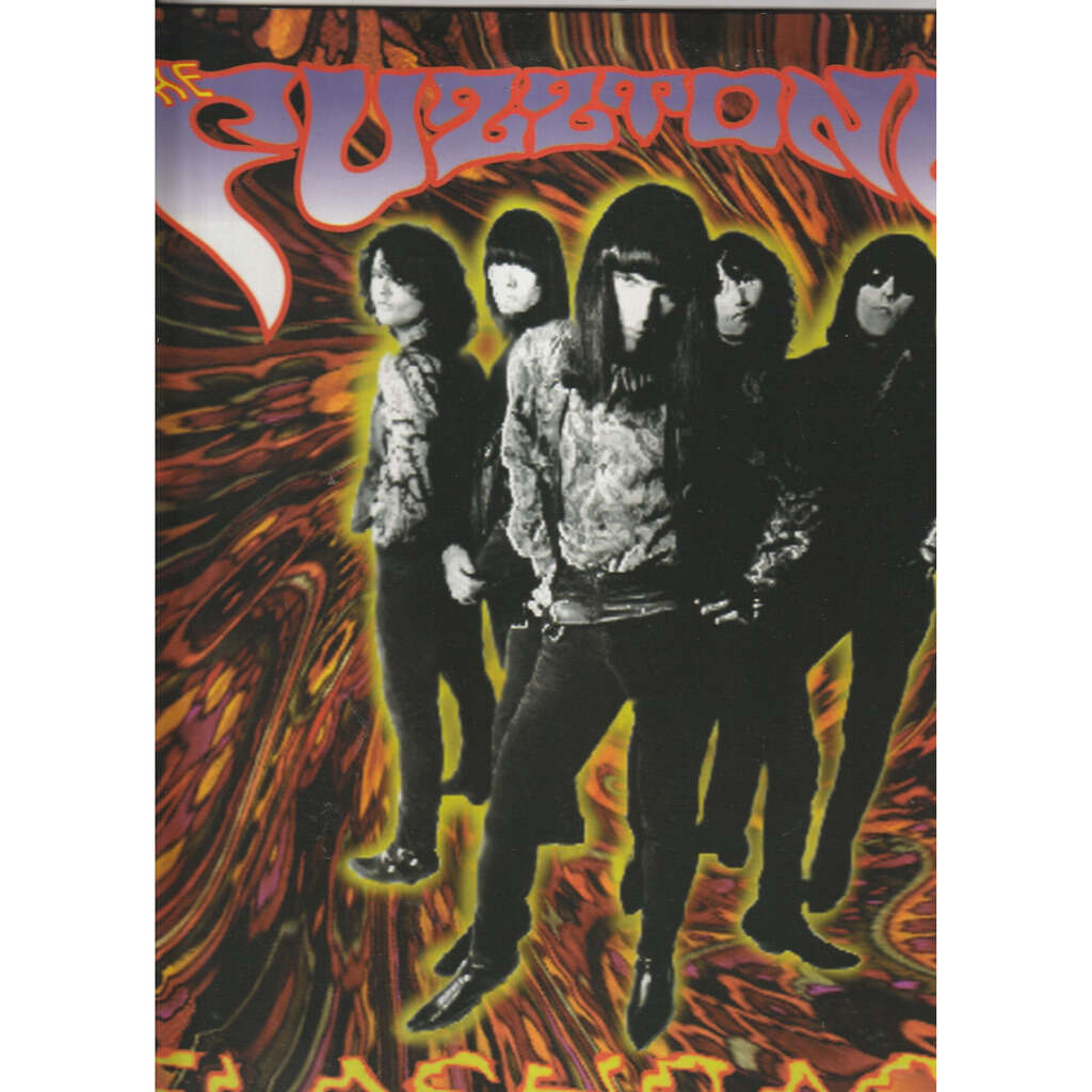  fuzztones  -  flashback 