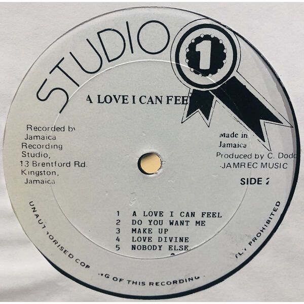  John Holt  -  a love i can feel 