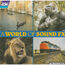 NO ARTIST - A World Of Sound FX - Disque CD