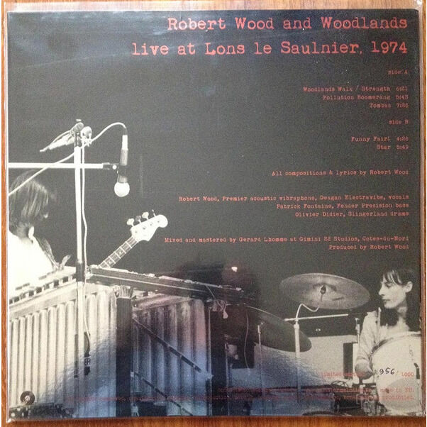  Robert Wood And Woodlands  -  live at lons le saulnier 1974 