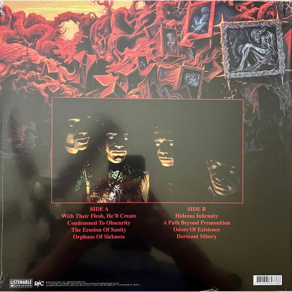  Gorguts  -  the erosion of sanity 