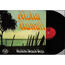 THE WAIKIKI BEACH BOYS - Aloha Hawaii instrumental : tiger shark / beyond the rainbow / sophisticated hula bright / pearly shells / little heaven of the seven seas - LP
