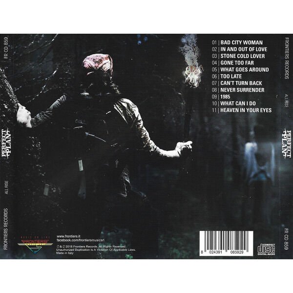  Perfect Plan  -  all rise 