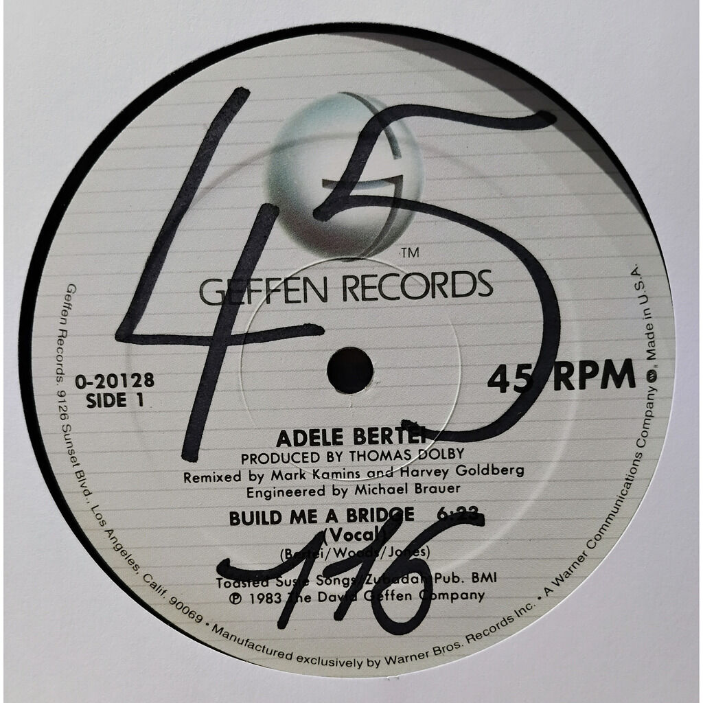  ADELE BERTEI  -  build me a bridge 