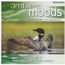 GALLAHAD - ambient moods volume 1 sounds of the loon - Disque CD