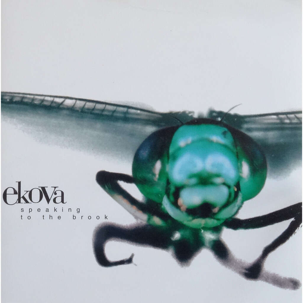  speaking to the brook 