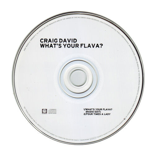  Craig David  -  what's your flava? 