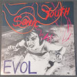 sonic youth evol