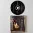 ALBERT COLLINS AND THE ICEBREAKERS - Albert Collins And The Icebreakers Live '92 - '93 - CD
