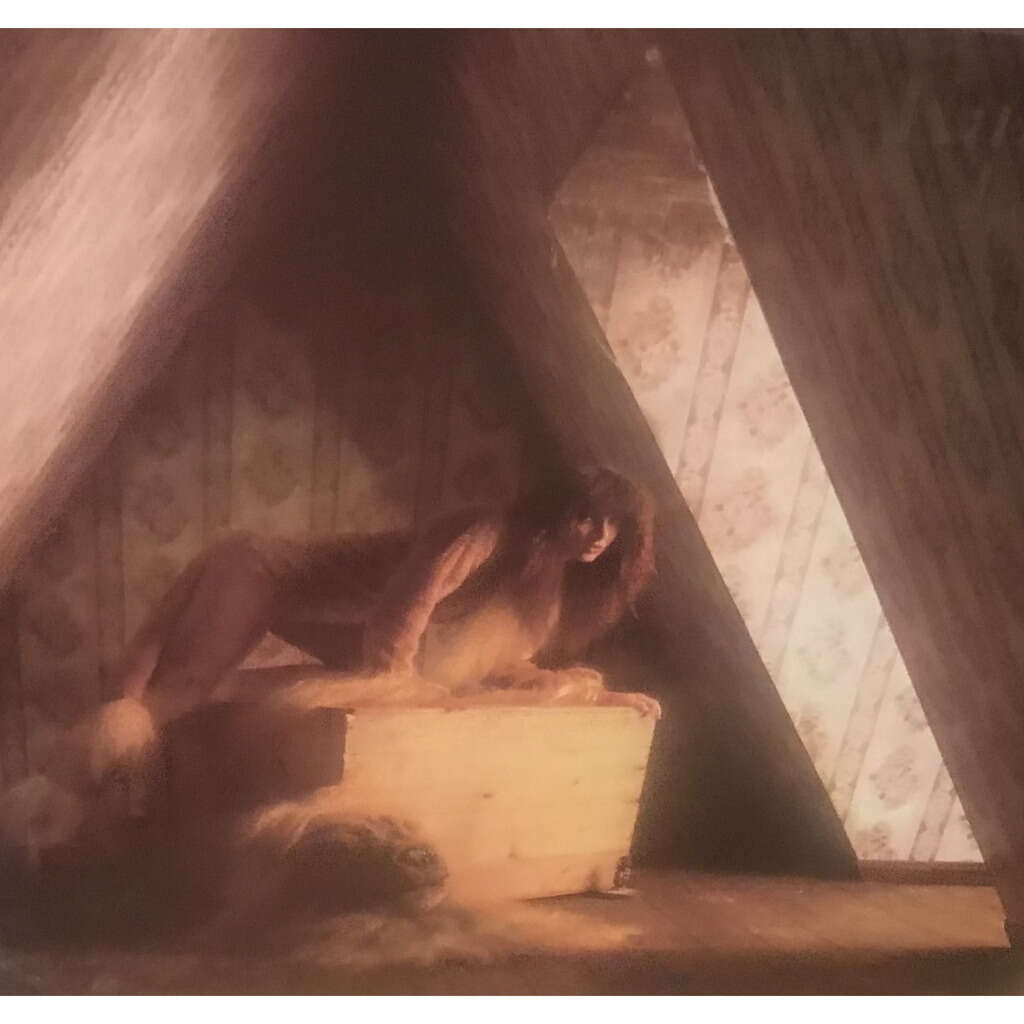 KATE BUSH Lion Heart