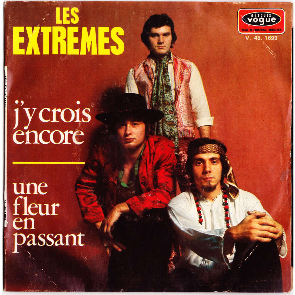  j'y crois encore / une fleur en passant 