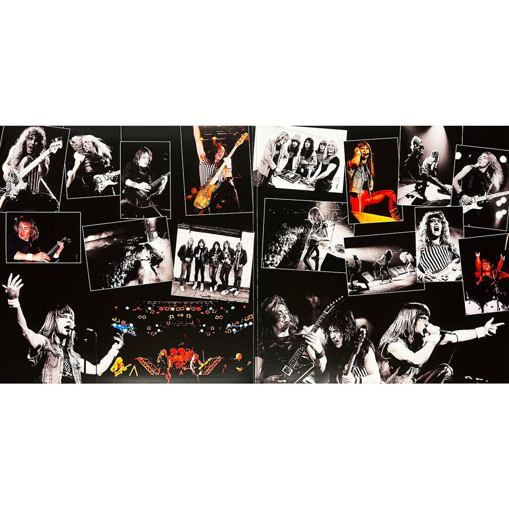  Iron Maiden  -  beast over reading -smoked vinyls 