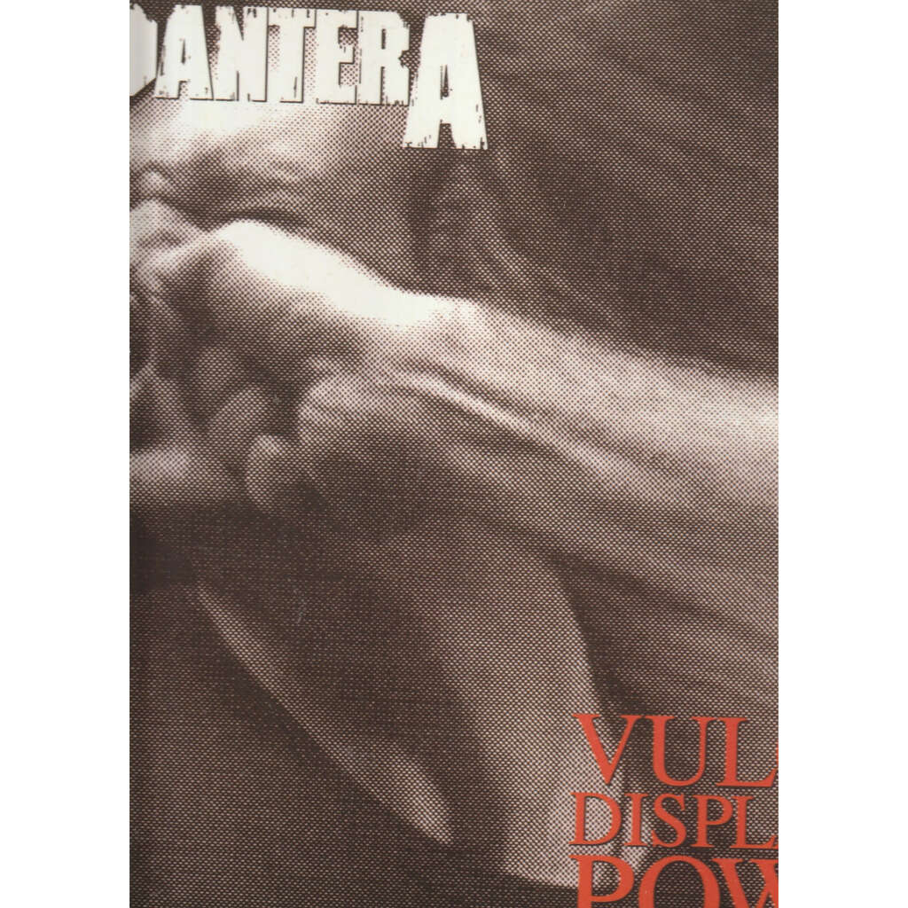  pantera  -  vulgar display of power 