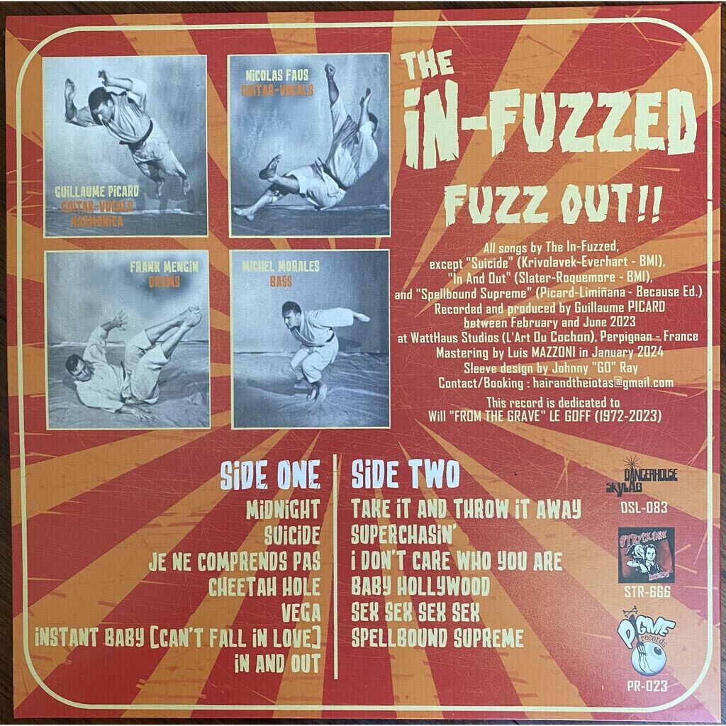  The In-Fuzzed  -  fuzz out! 