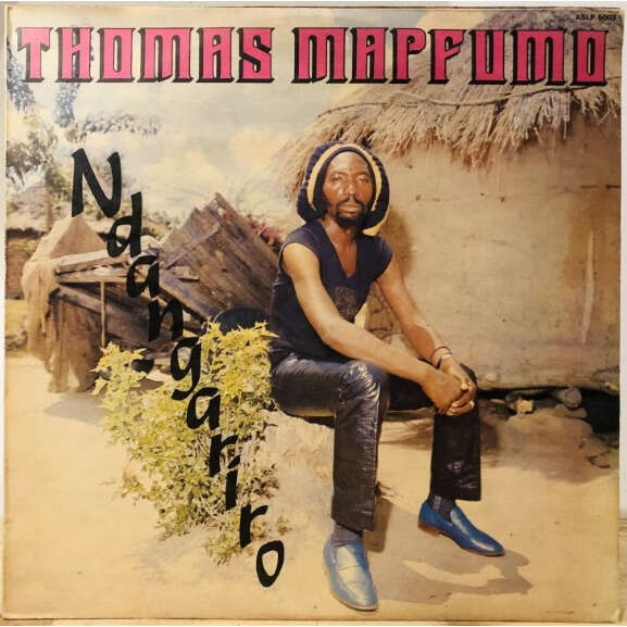  Thomas Mapfumo  -  ndangariro 