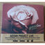 GOTAN PROJECT - Gotan Project Live - CD