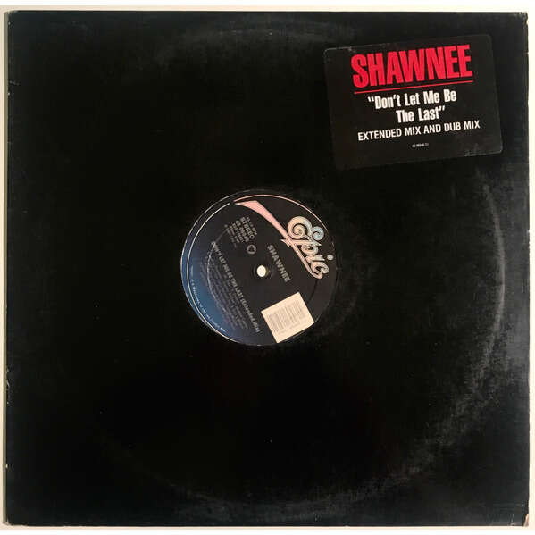  SHAWNEE  -  don't let me be the last ( ext mix ) prod y tommy mcgee 