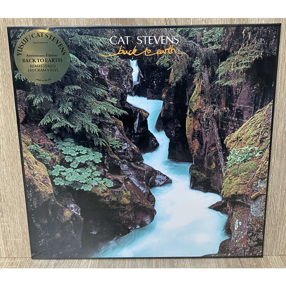 Cat Stevens Back To Earth