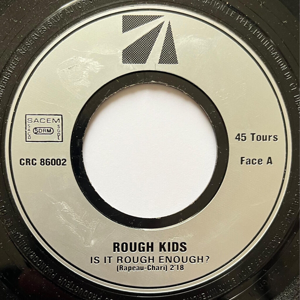  The Rough Kids  -  is it rough enough 