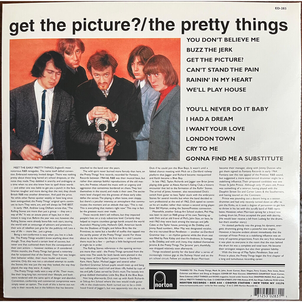  The Pretty Things  -  get the picture? 
