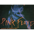 pink floyd animals in berlin 1977