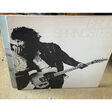 bruce springsteen born to run