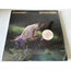 ENCHANTMENT - Enchanted Lady - LP